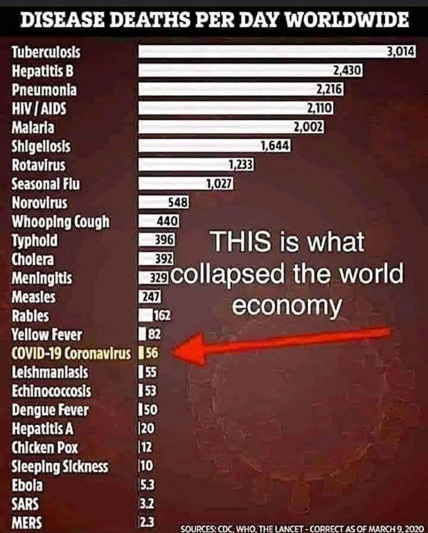 Disease deaths per day worldwide-1.jpg