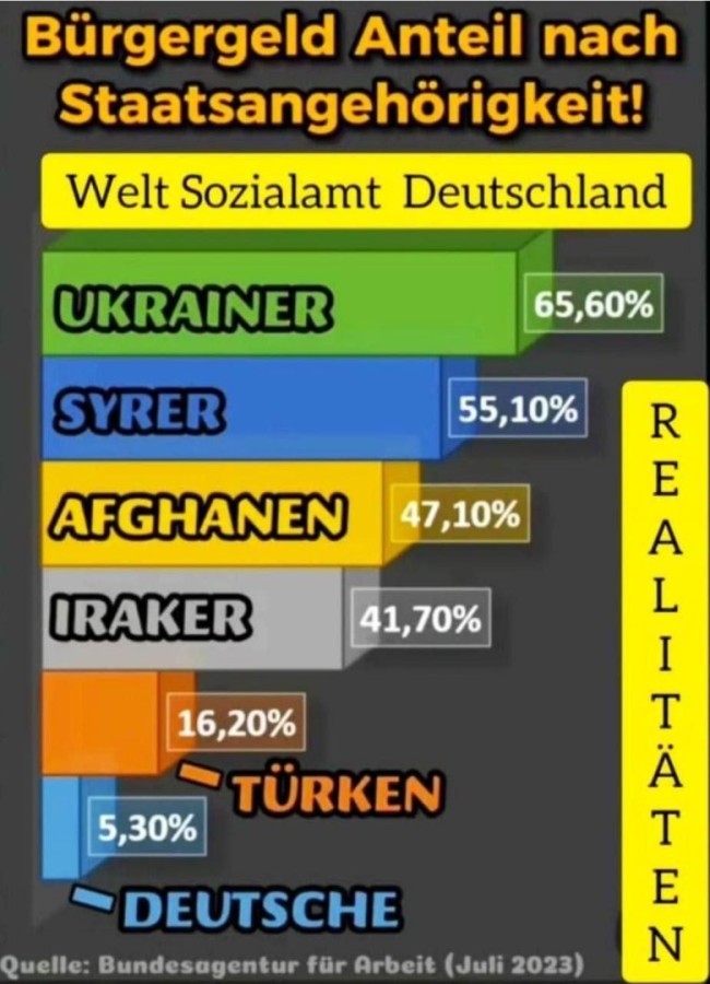 BürgergeldAnteilnachStaatsangehörigkeit.jpg