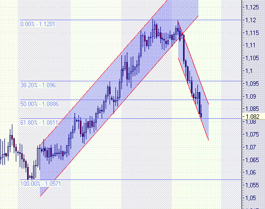 dud nzd.GIF