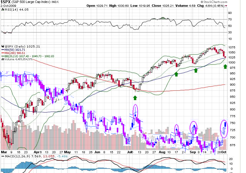 sp500-vox-2009.PNG