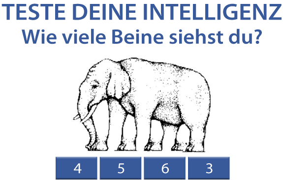 testbild-beine.png