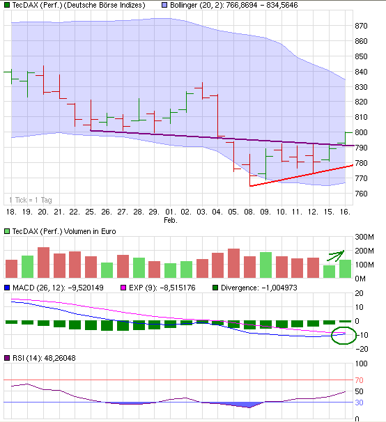 TecDax20100216.PNG