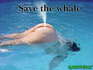 whale.png