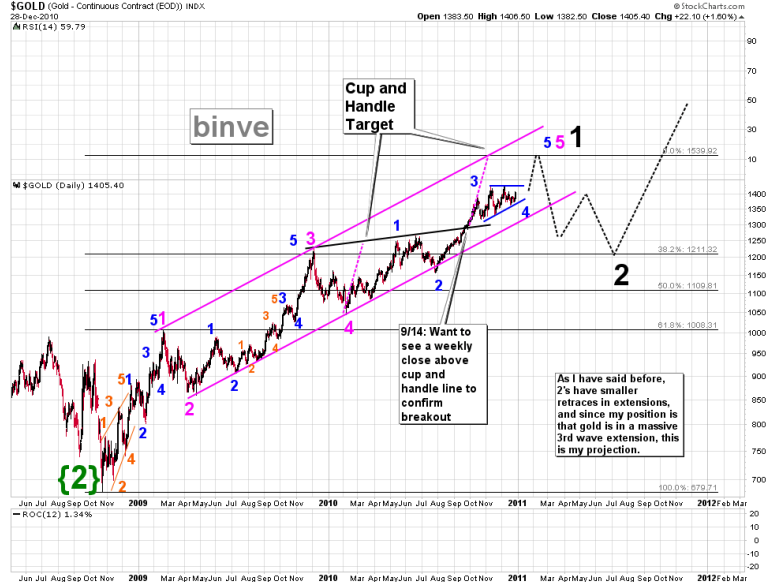 binve-1-28-12-2010.png