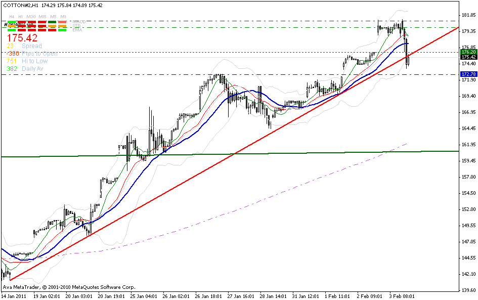 cotton-60 min-trend-kannte-3-2.gif