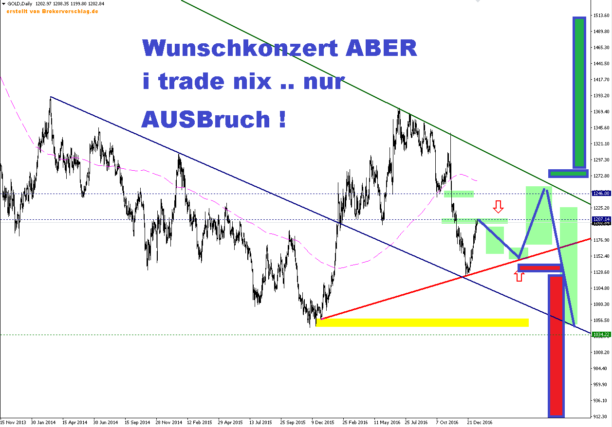 Ausbrüchen-oder-interner-Weg-16-1-2017.png