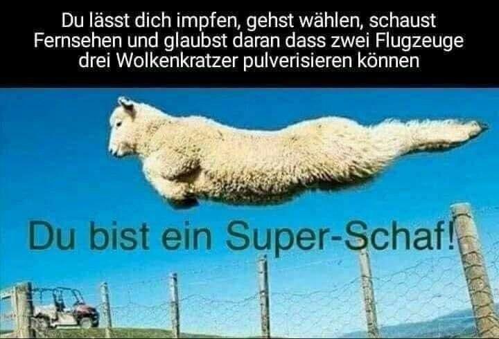 Super-Schaf1.jpg