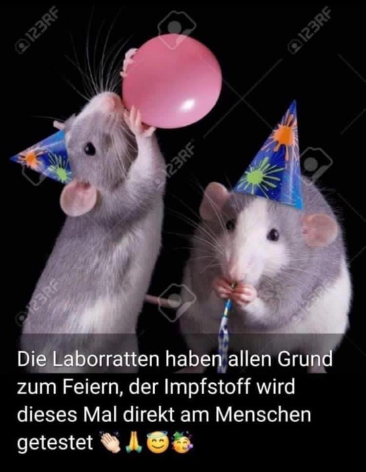 Laborratten.jpg