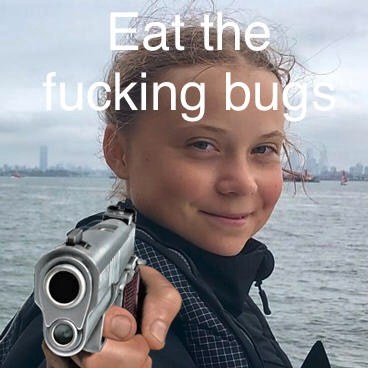 eat the fucking bugs.jpeg