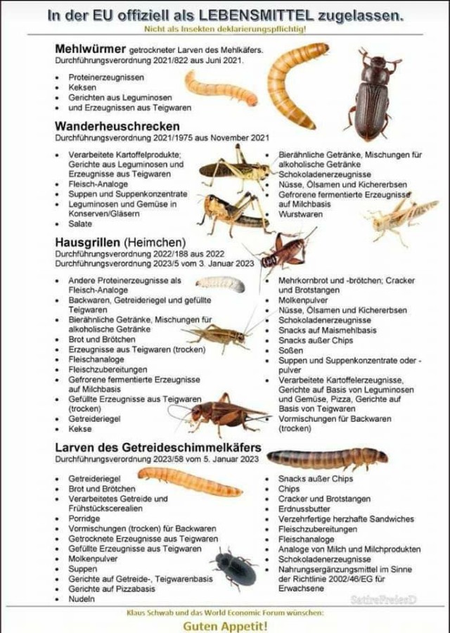 insekten-lebensmittel.jpg