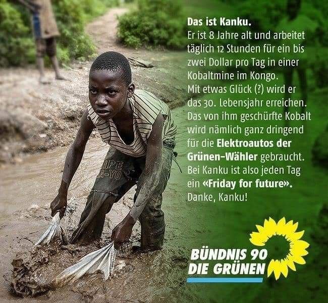 fuerElektroautosdergruenenwaehler.jpg