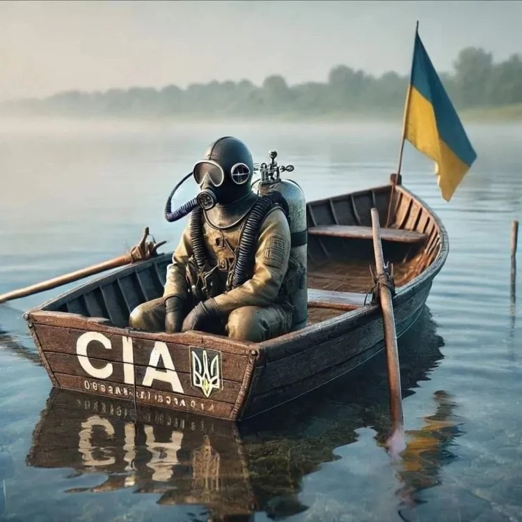 NS-CIA.jpg