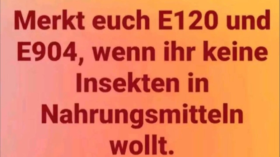 InsekteninNahrungsmitteln.jpg