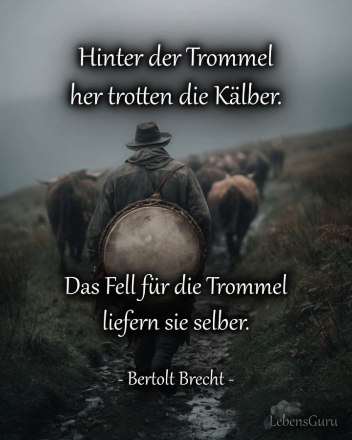 ÖRR.jpg