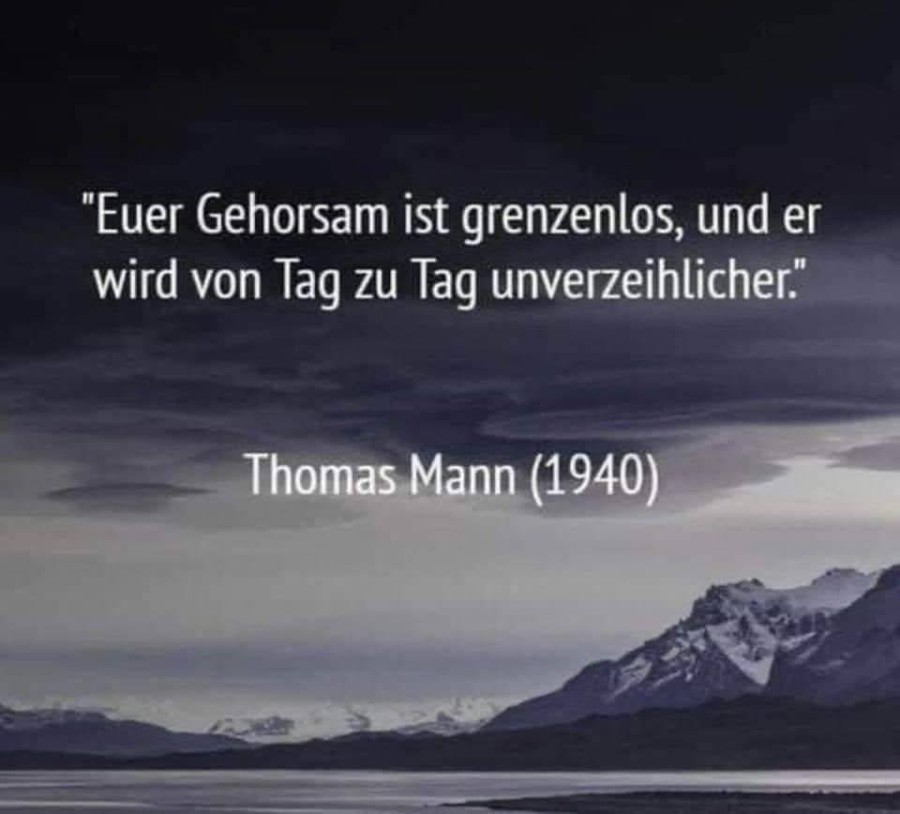 AusRedeandieDeuteschenTMann.jpg