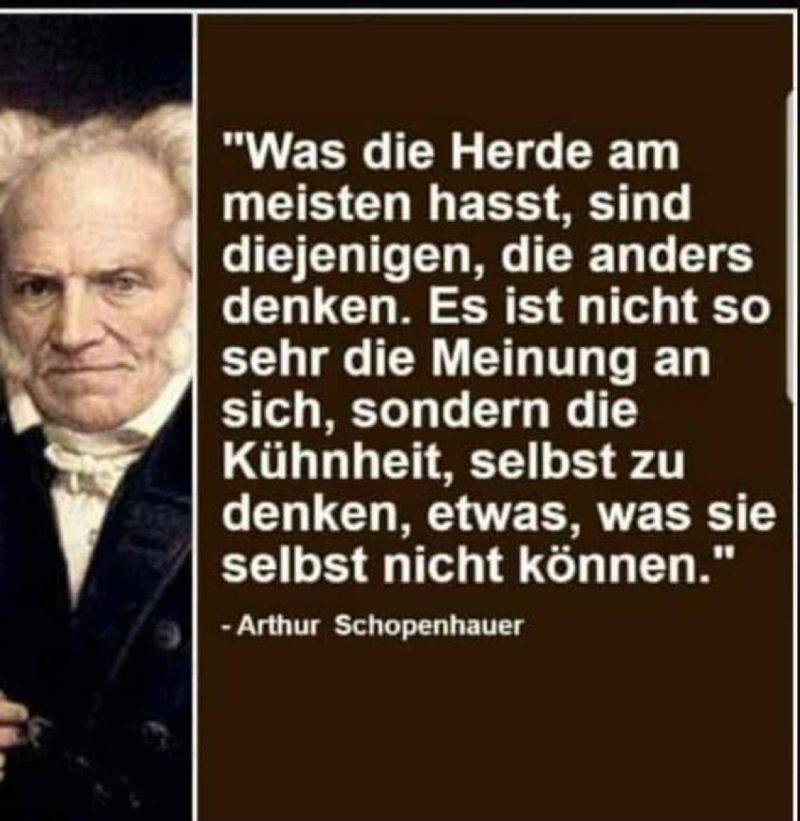 Schopenhauer.jpg
