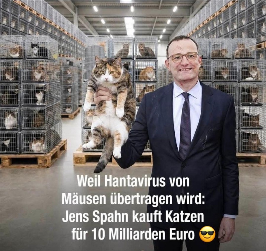 Hanta Katzen.jpg