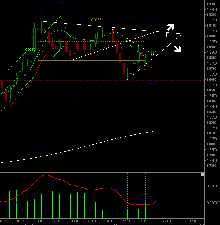 daily candle